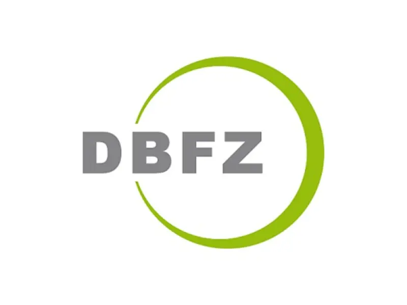 DBFZ